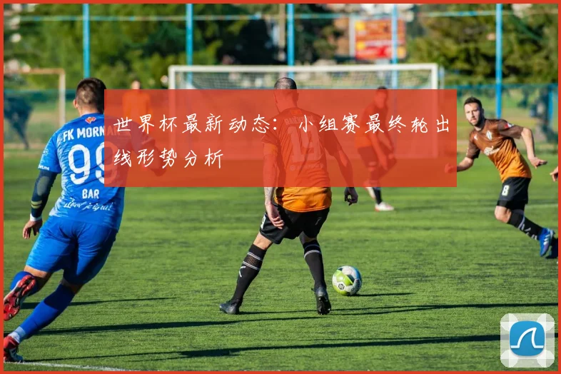 世界杯最新动态：小组赛最终轮出线形势分析