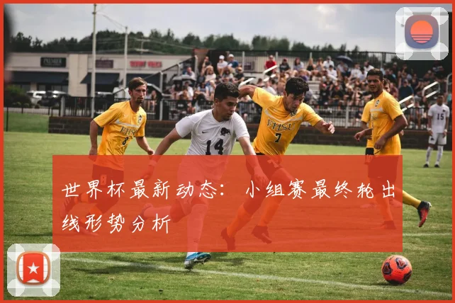 世界杯最新动态：小组赛最终轮出线形势分析